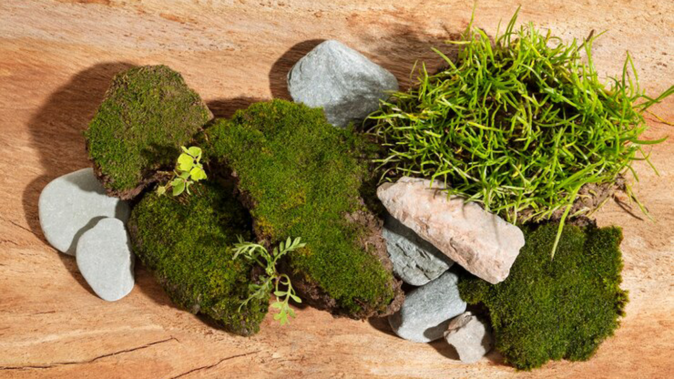 Garden Rock Transform Your Landscape with Natural Beauty